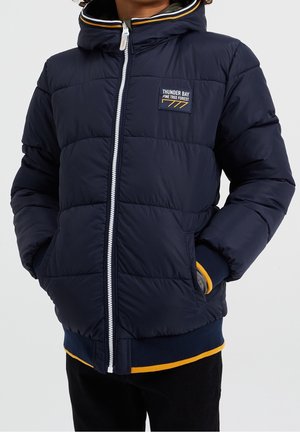 Veste d'hiver - mottled green