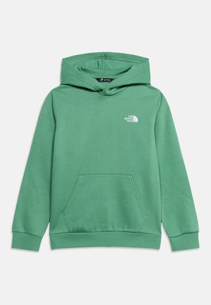 The North Face, TEEN EVOLUTION SIMPLE DOME PULLOVER UNISEX - Hættetrøje - light green