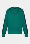 Sweatshirt - collegiate green/black