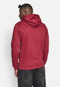 Redefined Rebel ALFRED - Sweatshirt com capuz - sun dried tomato
