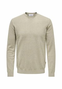 Lichtgrijs sweater gemaakt van zachte breigoed. Heeft een ronde halslijn, lange mouwen en ribgebreide boorden en zoom. Eenvoudig, klassiek ontwerp.