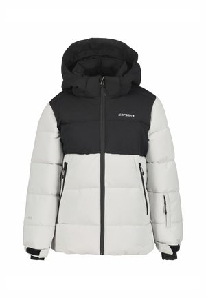 LOUIN - Veste de ski - hellgrau