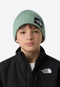 Ikke valgt, slate moss