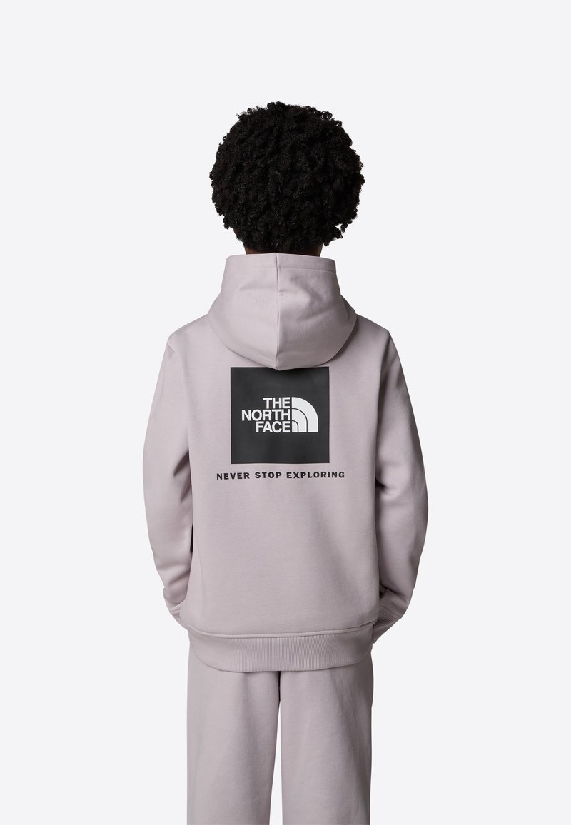 The North Face REGULAR - Sweat à capuche - moonstone grey