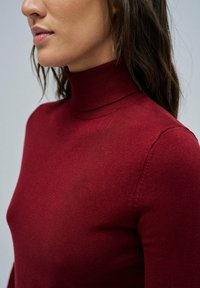 Pull en col roulé rouge en tissu tricoté lisse, avec un design ajusté et un col côtelé, légèrement texturé sans motifs visibles.