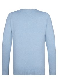 Maglione lavorato a maglia di colore azzurro chiaro, con maniche lunghe, polsini e orlo a coste, scollatura rotonda e una texture morbida. Vista posteriore in evidenza.