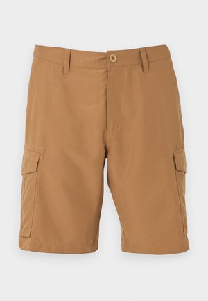 Rip Curl, STREAMLINE CARGO - Shorts - dark khaki