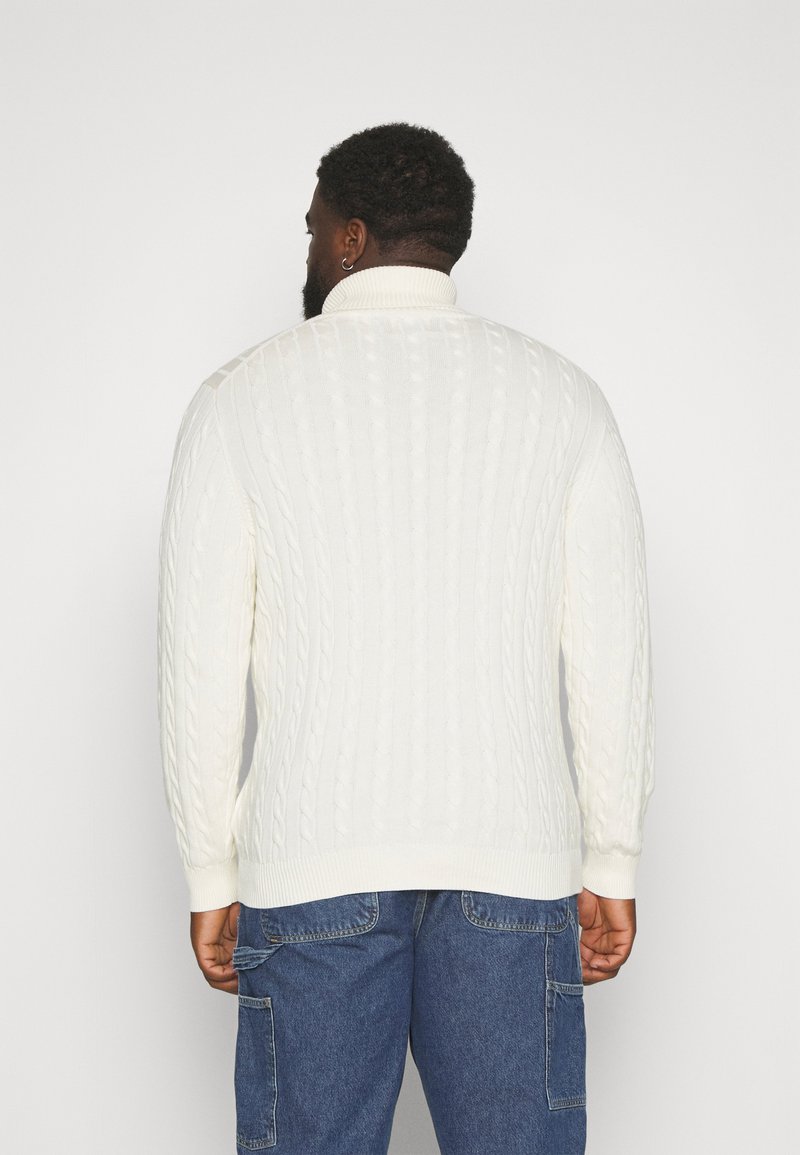 GANT PLUS CABLE TURTLE NECK - Pullover - cream/écru - ZALANDO.FR