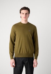 Oliwkowy dzianinowy sweter z długimi rękawami, okrągłym dekoltem i dopasowanym talią, z małym ciemnym emblematem na piersi. Nosi się go z czarnymi dżinsami.