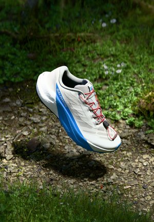 PULSAR - Chaussures de running - lunar rock/white/french blue