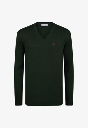 Donkergroene V-halstrui met lange mouwen en geribbelde zoom. Klein rood vogel logo op de linkerborst; een gladde, lichte brei stof.