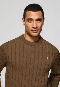 Suéter marrón de punto que presenta un patrón de trenzas, cuello redondo y un pequeño logotipo blanco en el lado izquierdo del pecho.