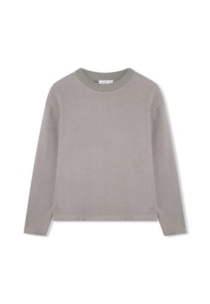 Maglione grigio con maniche lunghe e scollatura rotonda a costine. Tessuto liscio, design leggermente accorciato. Etichetta visibile all'interno del colletto.