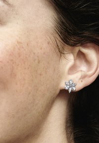 Pandora HERBARIUM CLUSTER  - Uhani - silver coloured