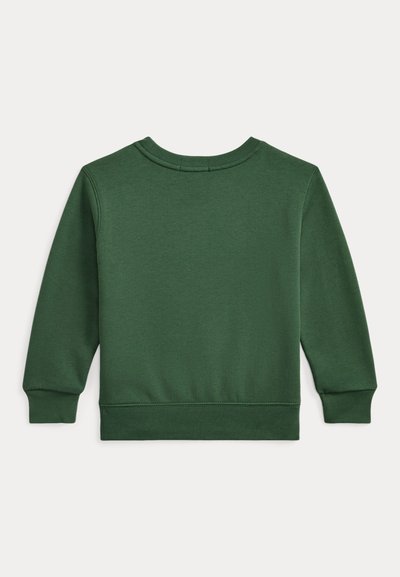 Grønn genser med rund hals, lange ermer og ribbede mansjetter. Glatt tekstur uten synlige mønstre eller metallbeslag.