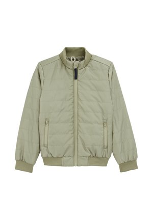 BLUE RIDGE - Allvädersjacka - moss green