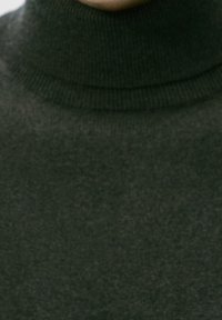 Pull à col roulé vert foncé, confectionné en maille texturée, avec un col côtelé et une subtile variation de couleur. Idéal pour temps froid.