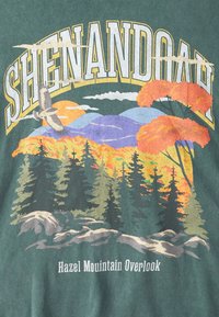 Abercrombie & Fitch NATIONAL PARKS - Print T-shirt - scarab/acid wash