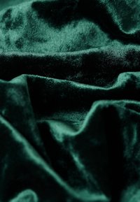 Tissu en velours vert doux avec des plis visibles et une texture moelleuse légèrement brillante sous un éclairage doux.