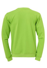 Groen langemouwen sweatshirt, gemaakt van zachte stof. Heeft een ronde halslijn, geribde manchetten en onderrand. De achterzijde toont geen extra details.