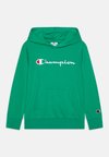 ICONS HOODIE WITH LARGE LOGO - Kapucnis pulóver - green