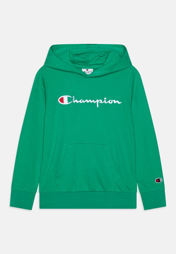 ICONS HOODIE WITH LARGE LOGO - Hoodie4