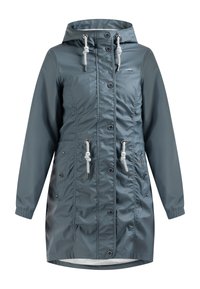 Neselectat, blue grey