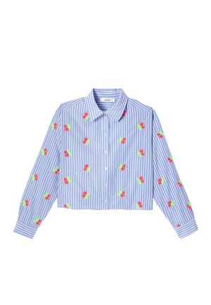 Chemise à manches longues à rayures bleu et blanc avec broderies florales rouges et vertes et col classique.