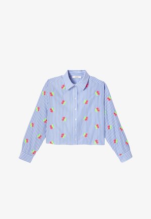 Chemise à manches longues à rayures bleu et blanc avec broderies florales rouges et vertes et col classique.