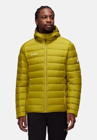 Mammut WAYMARKER IN Winter jacket aura/green Zalando