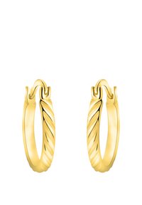 Guld hoop øreringe med et snoet design, der har glatte og teksturerede områder, og som fremviser en poleret finish og rund form.