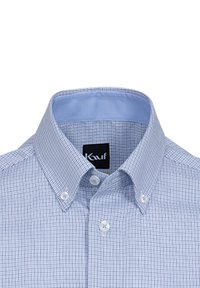 Camicia button-up con un motivo a quadri blu e bianchi, collo classico e fodera interna azzurro chiaro. Presenta dettagli con bottoni bianchi.