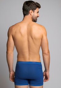 ZD Zero Defects Calzoncillos - ultramar
