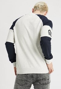 Sudadera gris claro con mangas raglán azul oscuro, cuello acanalado y detalle del logotipo en la manga izquierda. Tejido texturizado, corte casual.