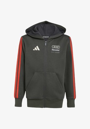 Grijze capuchontrui met ritssluiting en rode strepen aan de zijkanten, voorzien van een capuchon en voorzakken. Heeft Audi-, Revolut- en Adidas-logo's op de borst.