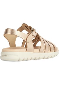 Kobiece sandały Geox mają jasnobrązową skórzaną cholewkę z krzyżującymi się paskami oraz srebrną klamrą. Podeszwa wykonana jest z białego, amortyzowanego materiału.