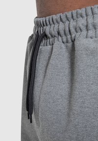 Smilodox NALE TRAINING SHORTS - Korte broeken - anthrazit