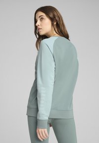 Felpa verde chiaro con scollatura tonda, maniche lunghe e vestibilità rilassata. Presenta un design a contrasto sulle spalle e un testo discreto sulla manica.