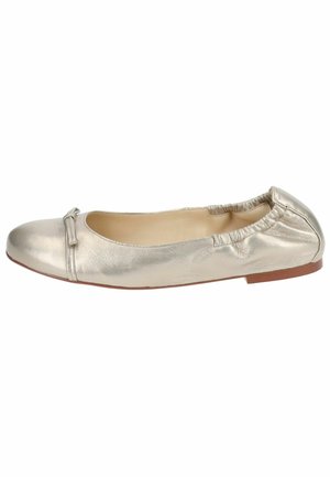 Metallisch silberne Ballerinas mit runder Spitze, elastischem Kragen und Schleifendetail auf der Vorderseite. Glatte Textur und minimalistisches Design.