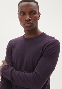 Ljubičasti džemper s okruglim izrezom i dugim rukavima, s glatkom teksturom i prilagođenim dizajnom, nosi osoba s prekriženim rukama.