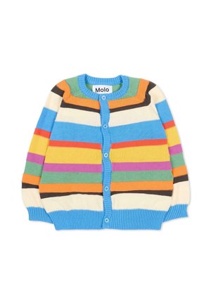 Cardigan - multi coloured