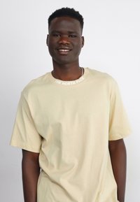 The North Face ZUMU RELAXED TEE - Apdrukāts T-krekls - gravel