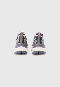Adidas Terrex TERREX FREE HIKER 2 - Scarpa da hiking - aurora ivy/preloved teal/taupe oxide
