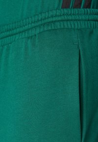 Žalios sportinės šortai, pasižymintys lygiu audinio tekstūru, elastinga juosmens juosta ir juodomis akcento juostomis šonuose.