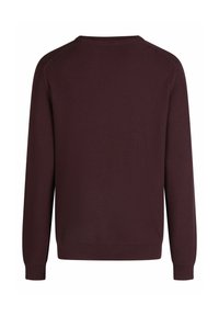 Dunkelbrauner, langärmeliger, gestrickter Pullover mit geripptem Kragen, Bündchen und Saum, von hinten vor einem weißen Hintergrund gezeigt.