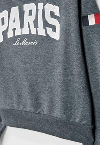 Felpa grigia con la scritta "PARIGI" in lettere bianche e grasse e "Le Marais" in testo più piccolo. Decorata con una striscia tricolore sulla manica.