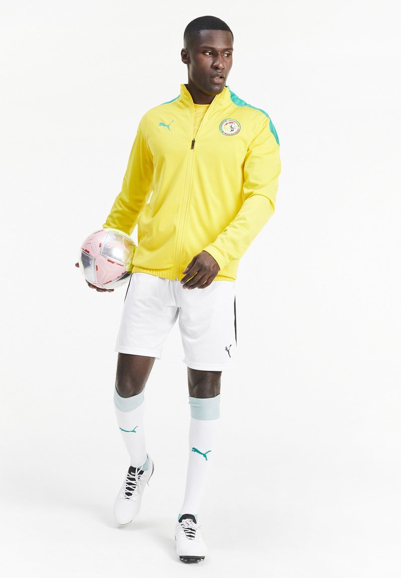 Herren Trainingsanzüge | Puma Nationalmannschaft dandelion-pepper green/gelb - MQ51437 Herren Trainingsanzüge | Puma Nationalmannschaft dandelion-pepper green/gelb - MQ51437