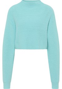 Pulover scurt de culoare bleu deschis. Are o textură ribbată, mâneci lungi și un gât înalt. Fabricat dintr-un material moale, tricotat.