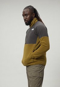 The North Face GLACIER HEAVYWEIGHT 1/2 ZIP - Felpa in pile - moss green/asphalt grey