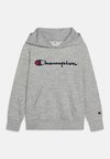 ICONS HOODIE CONTRAST LOGO UNISEX - Džemperis ar kapuci - grey
